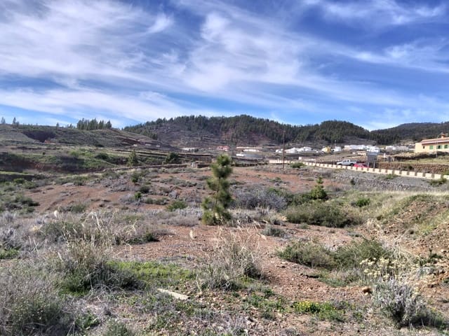 Undeveloped Land for sale in Vilaflor - € 36,000 (Ref: 9914555)