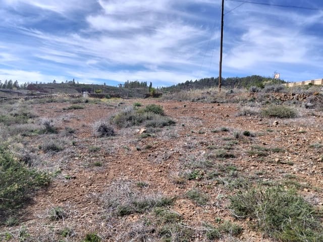 Undeveloped Land for sale in Vilaflor - € 36,000 (Ref: 9914555)