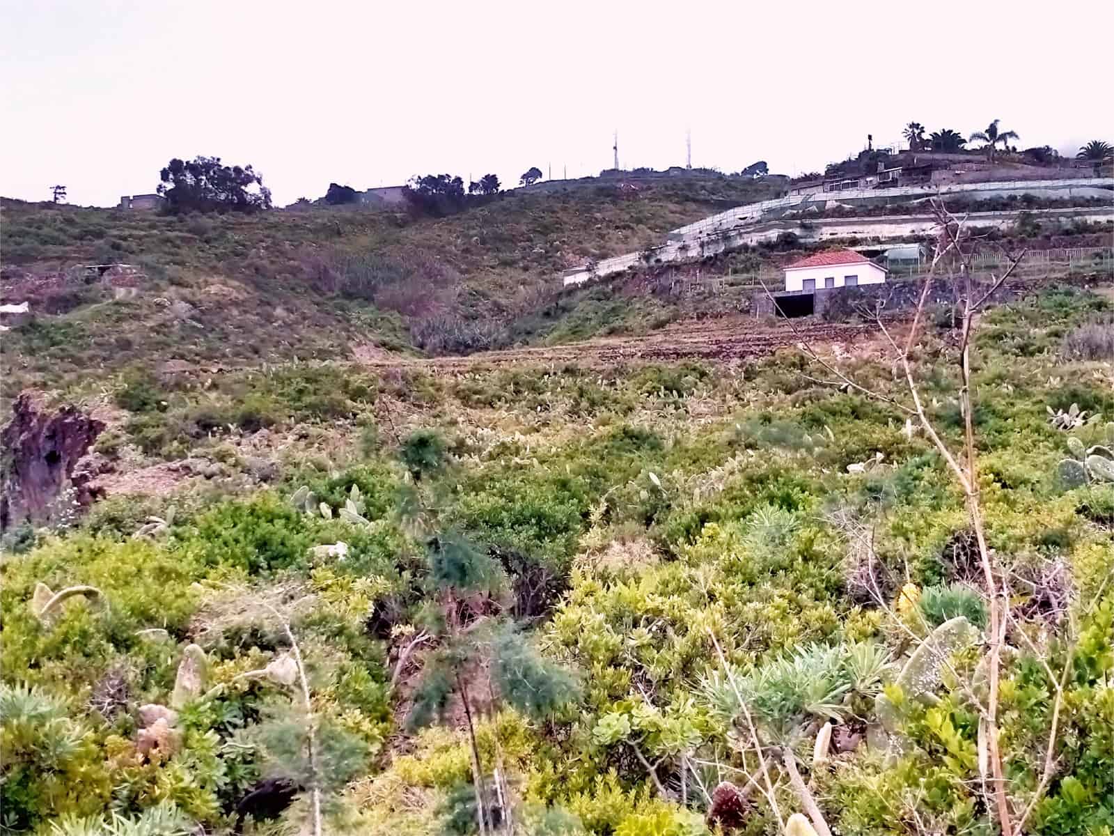 Terreno Non Edificato in vendita in San Juan de la Rambla - 210.000 € (Rif: 9914597)