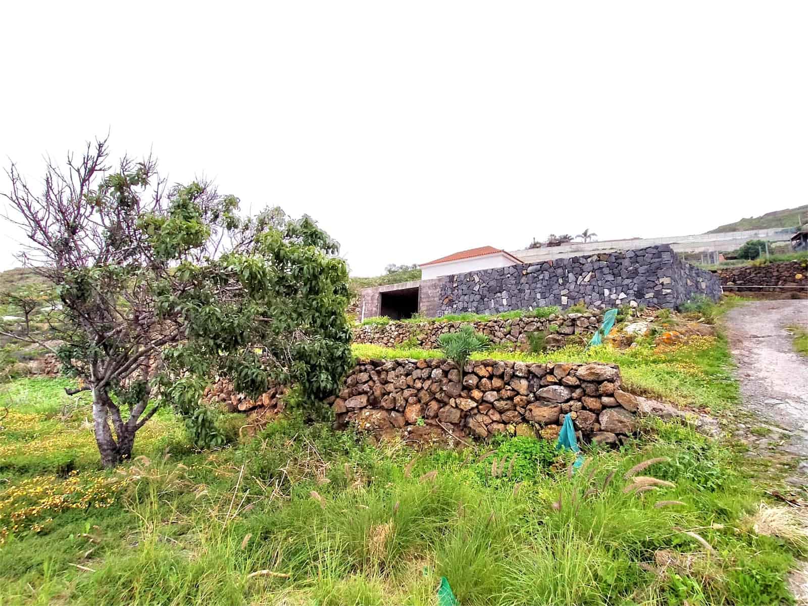 Terreno Non Edificato in vendita in San Juan de la Rambla - 210.000 € (Rif: 9914597)