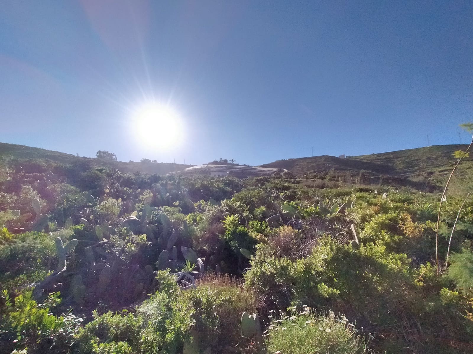 Terreno Non Edificato in vendita in San Juan de la Rambla - 210.000 € (Rif: 9914597)