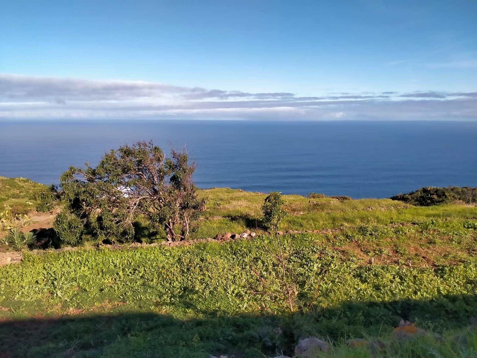 Terreno Non Edificato in vendita in San Juan de la Rambla - 210.000 € (Rif: 9914597)