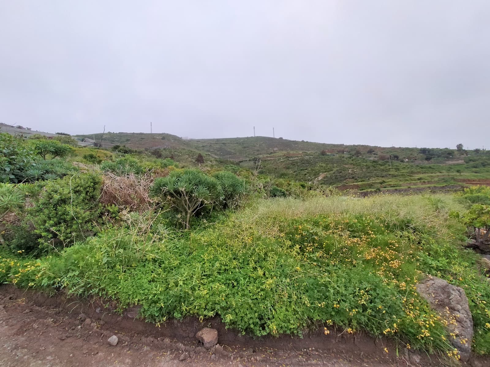 Terreno Non Edificato in vendita in San Juan de la Rambla - 210.000 € (Rif: 9914597)