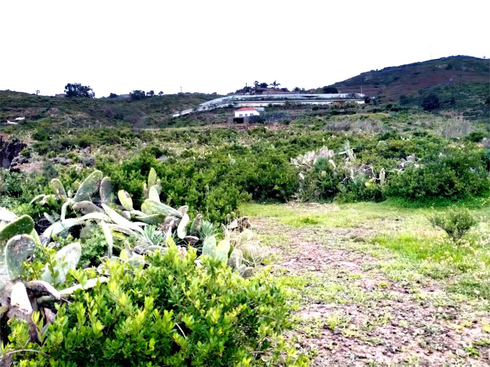 Terreno Non Edificato in vendita in San Juan de la Rambla - 210.000 € (Rif: 9914597)