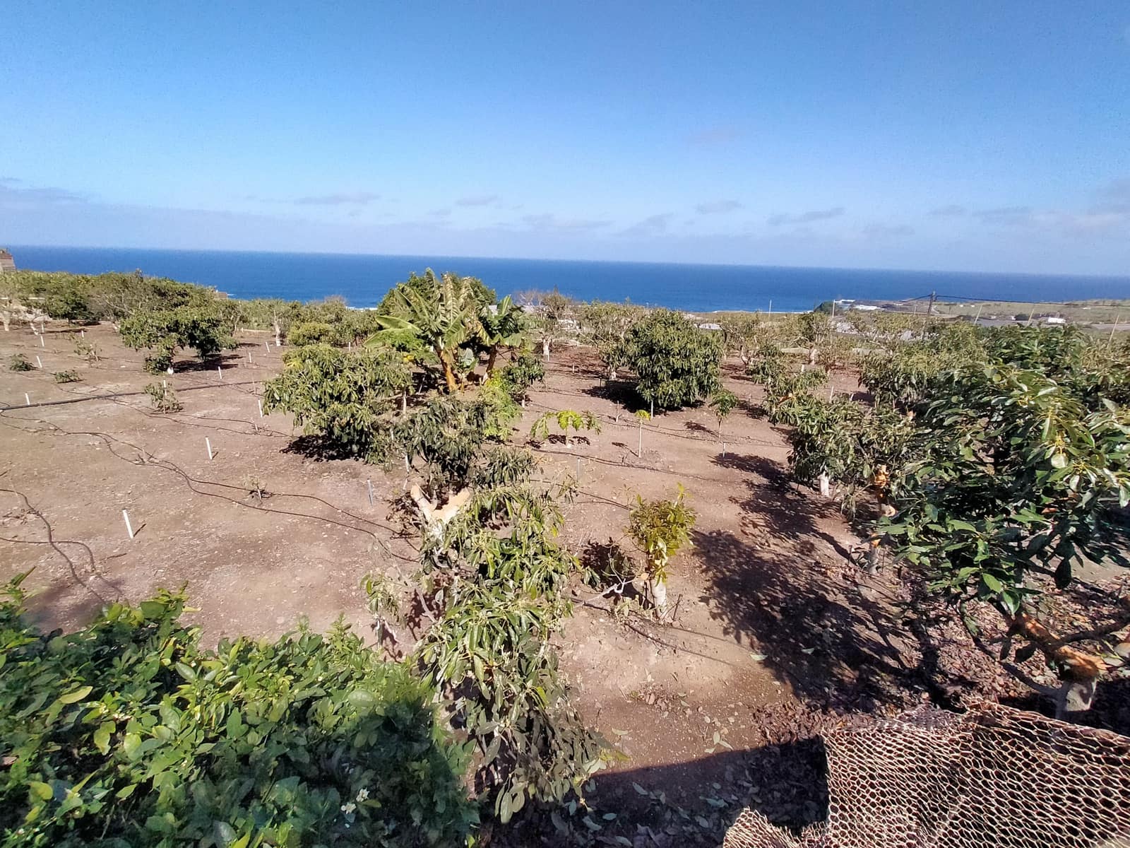 Undeveloped Land for sale in Buenavista del Norte - € 465,000 (Ref: 9914624)
