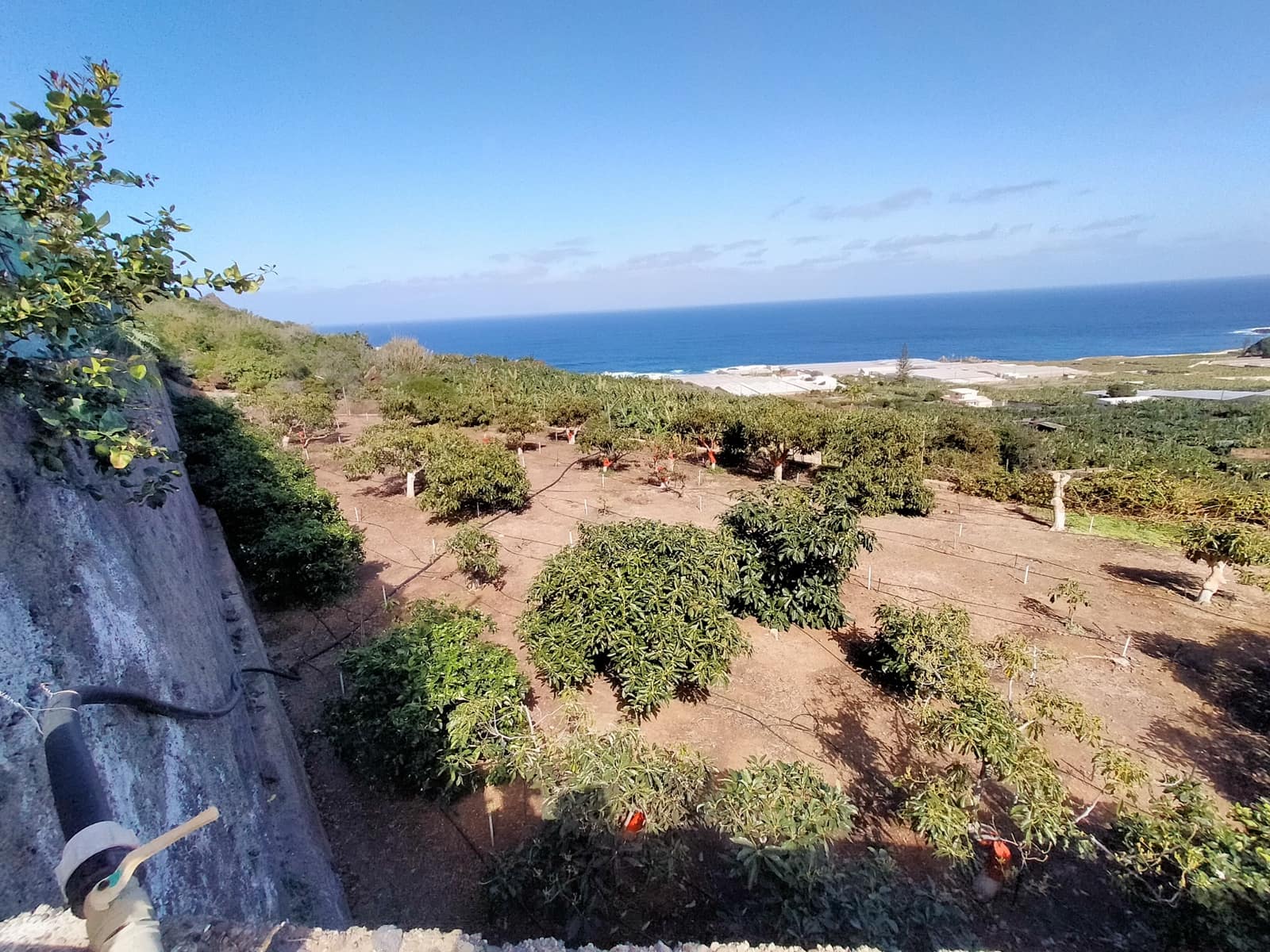 Undeveloped Land for sale in Buenavista del Norte - € 465,000 (Ref: 9914624)