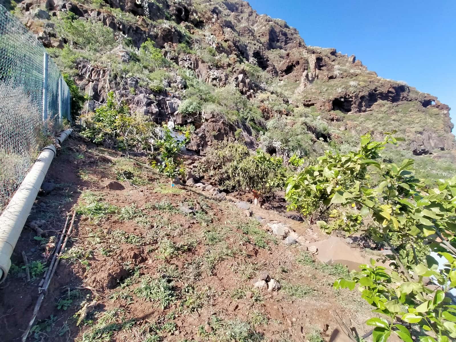Undeveloped Land for sale in Buenavista del Norte - € 465,000 (Ref: 9914624)