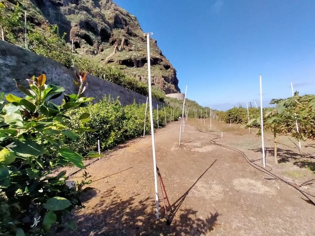 Terreno/Finca Rústica en Buenavista del Norte en venta - 465.000 € (Ref: 9914624)
