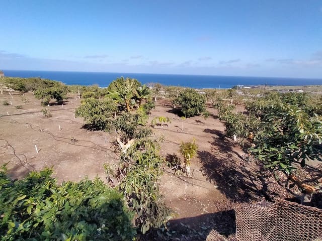 Terreno/Finca Rústica en Buenavista del Norte en venta - 465.000 € (Ref: 9914624)