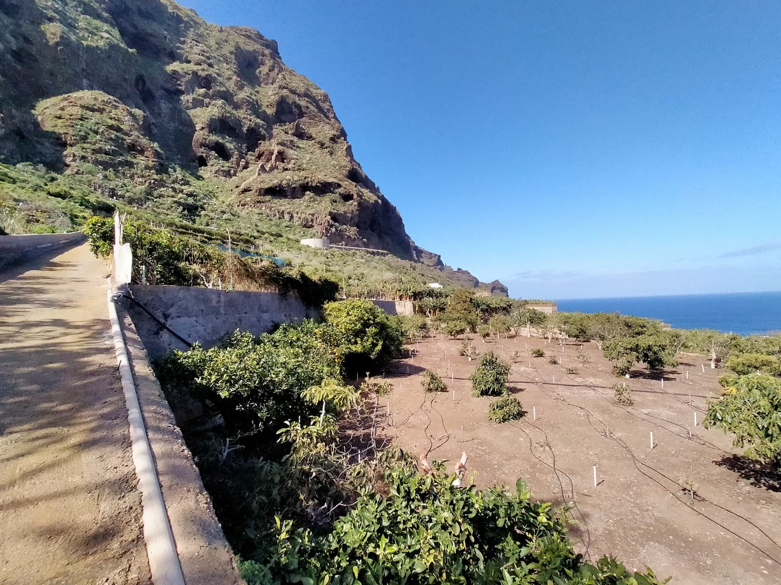 Undeveloped Land for sale in Buenavista del Norte - € 465,000 (Ref: 9914624)
