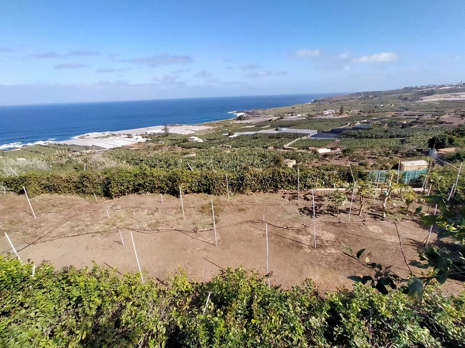Undeveloped Land for sale in Buenavista del Norte - € 465,000 (Ref: 9914624)