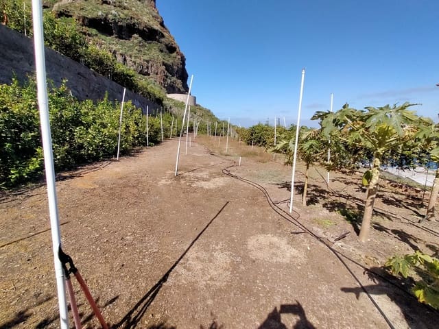 Terreno/Finca Rústica en Buenavista del Norte en venta - 465.000 € (Ref: 9914624)