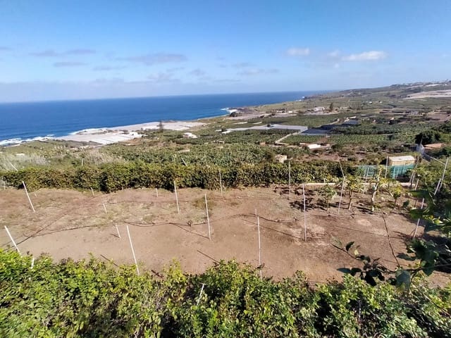 Terreno/Finca Rústica en Buenavista del Norte en venta - 465.000 € (Ref: 9914624)