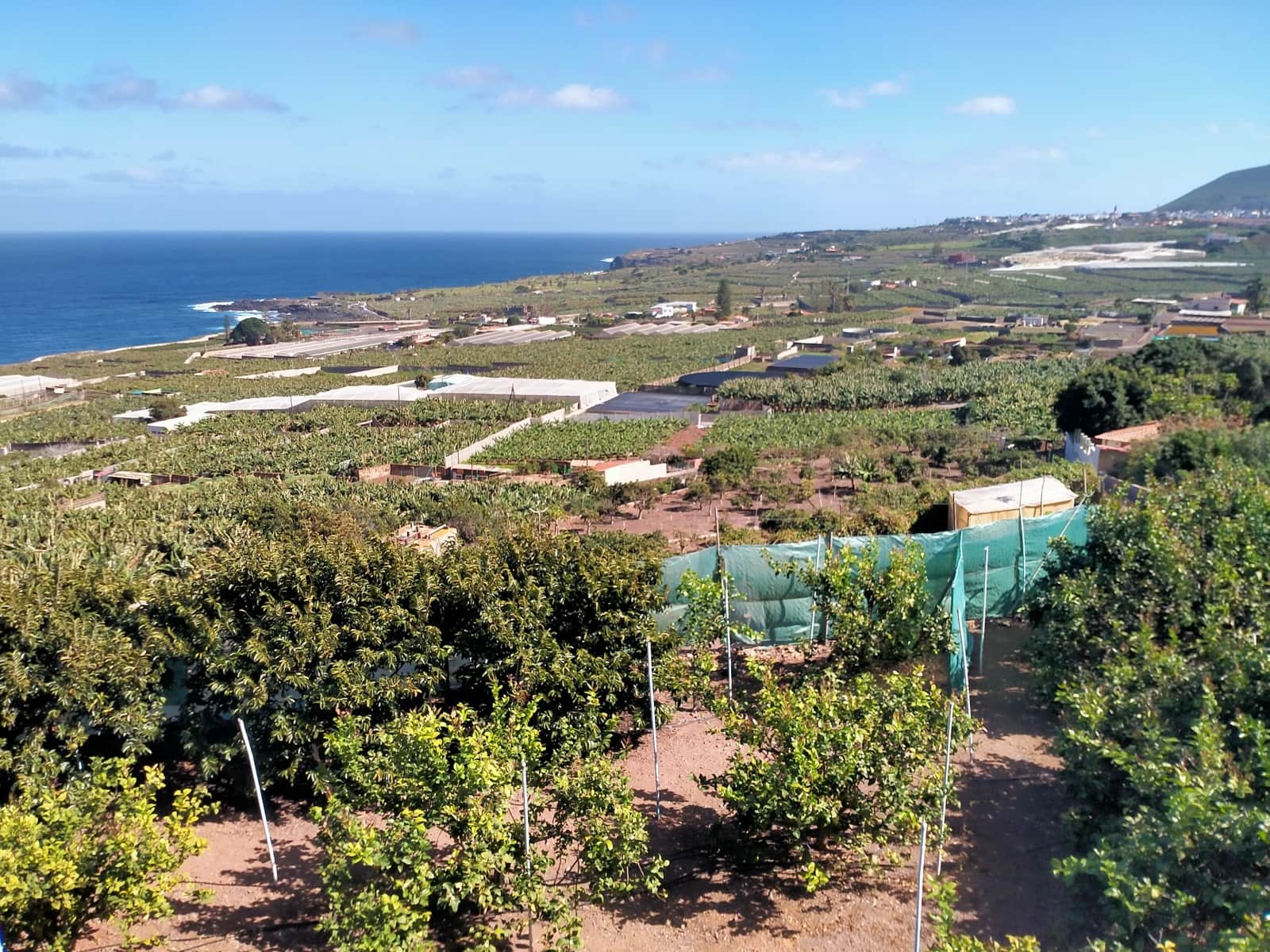 Undeveloped Land for sale in Buenavista del Norte - € 465,000 (Ref: 9914624)