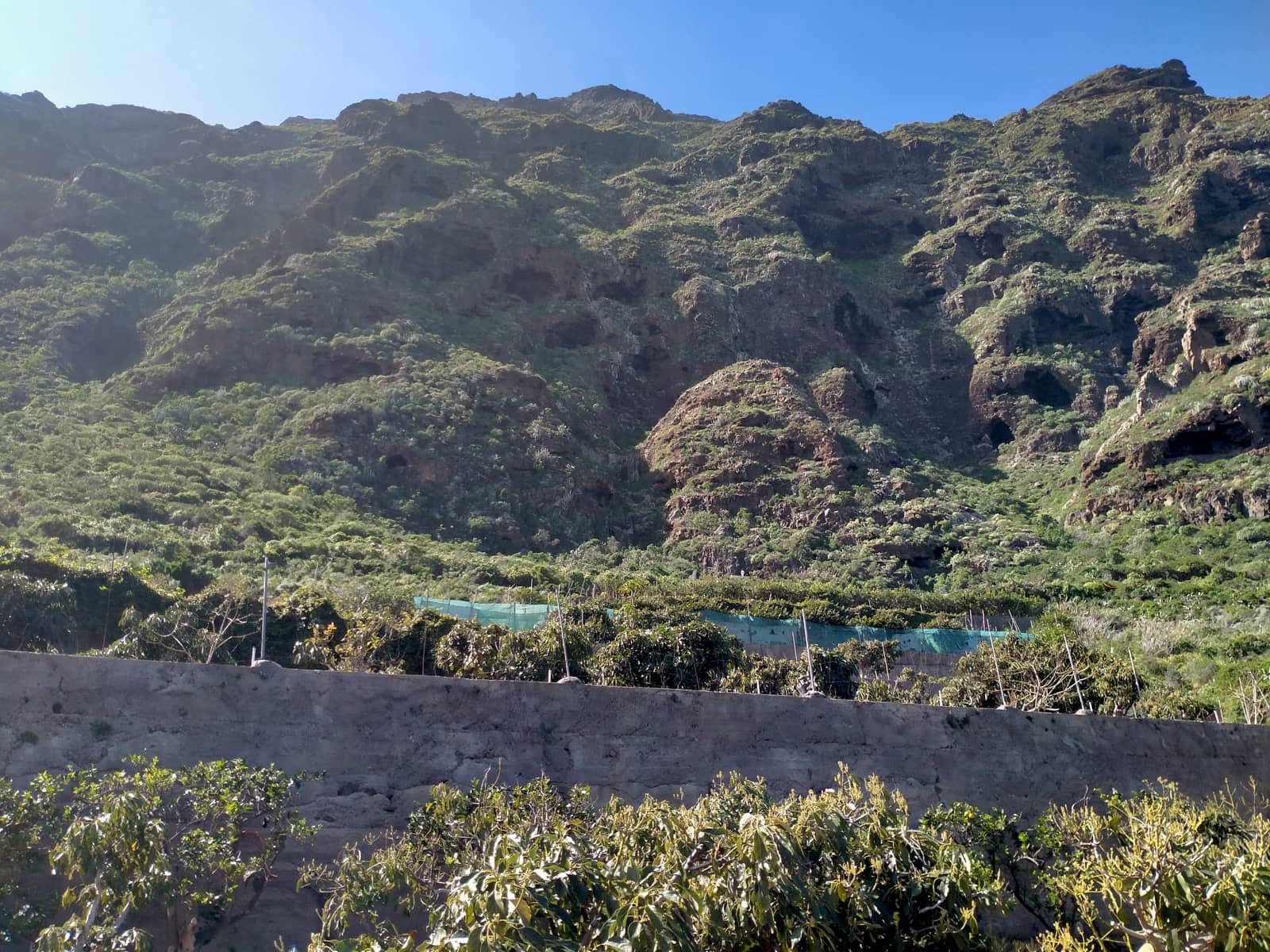 Undeveloped Land for sale in Buenavista del Norte - € 465,000 (Ref: 9914624)