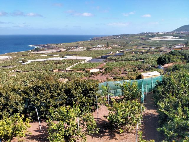 Grond te koop in Buenavista del Norte - € 390.000 (Ref: 9914624)