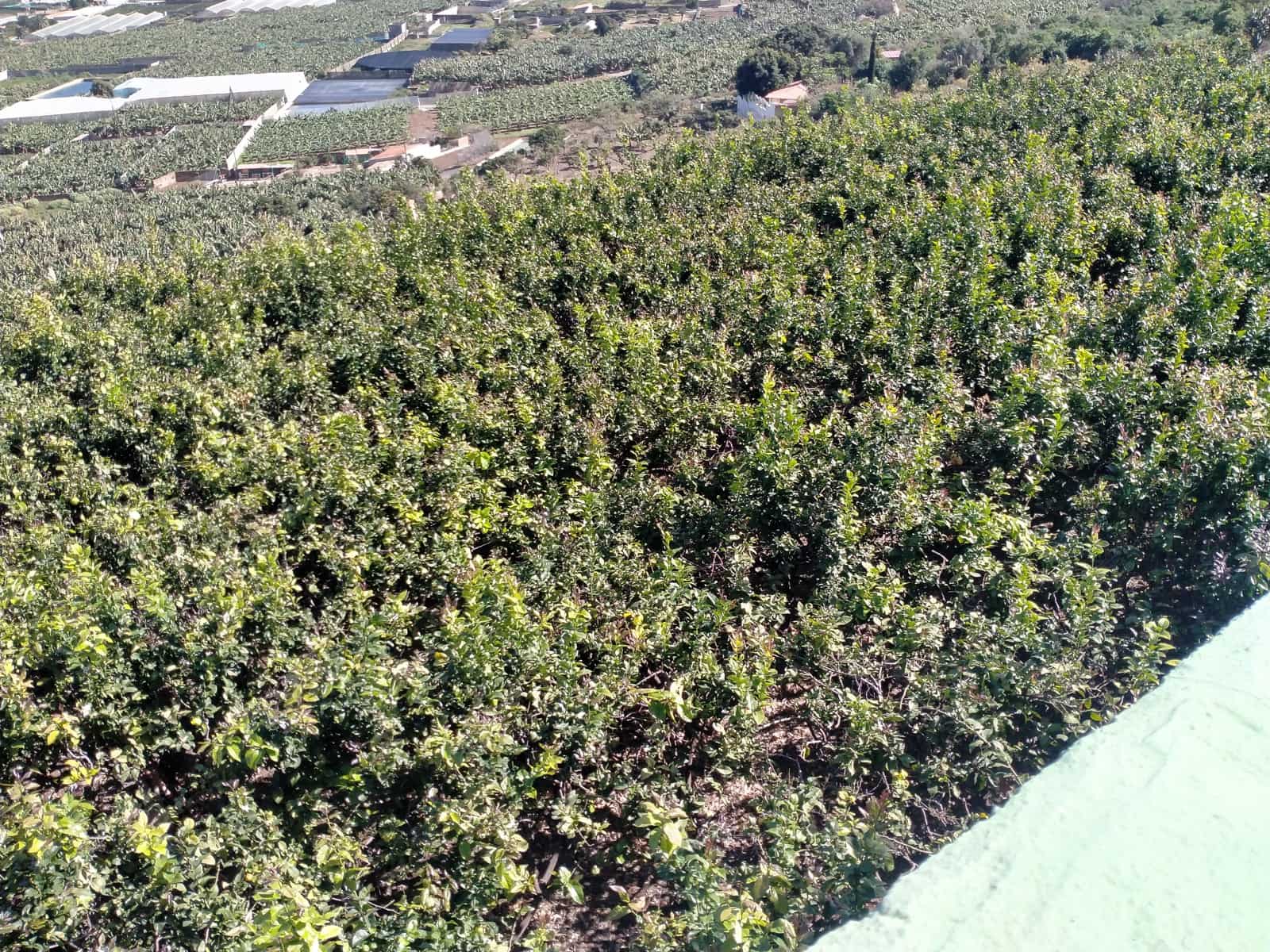 Undeveloped Land for sale in Buenavista del Norte - € 465,000 (Ref: 9914624)