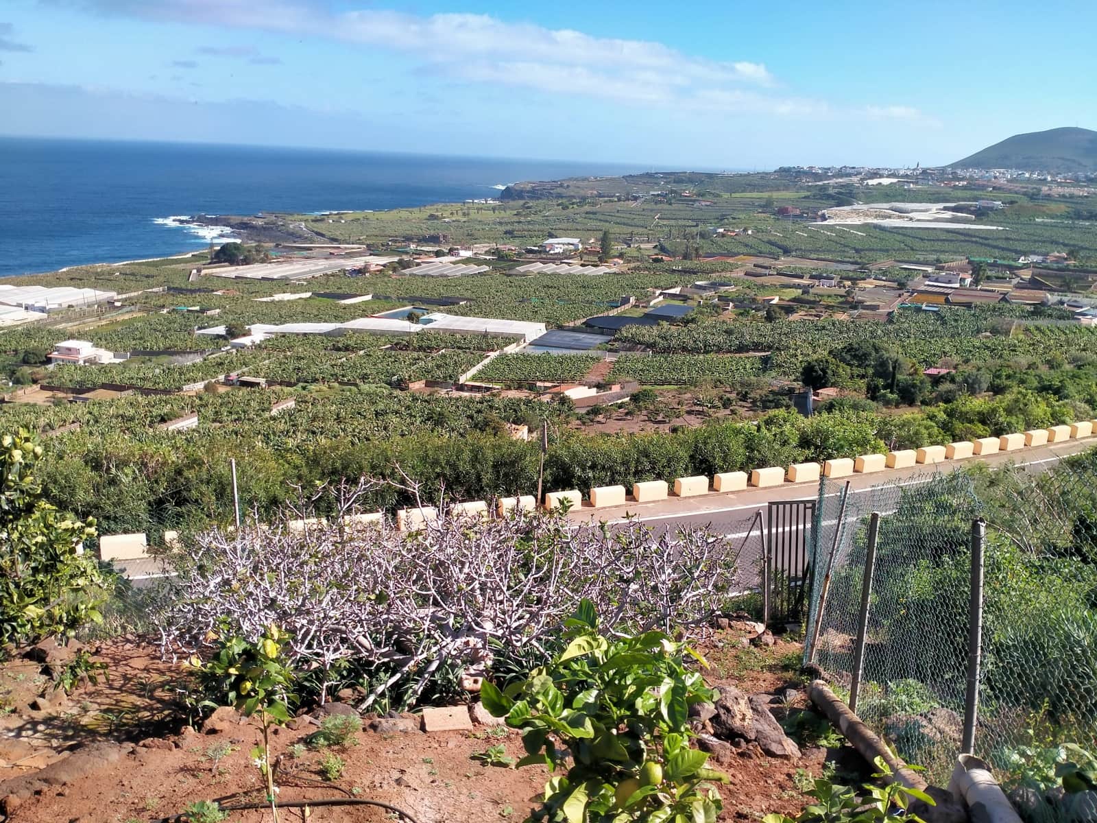 Undeveloped Land for sale in Buenavista del Norte - € 465,000 (Ref: 9914624)