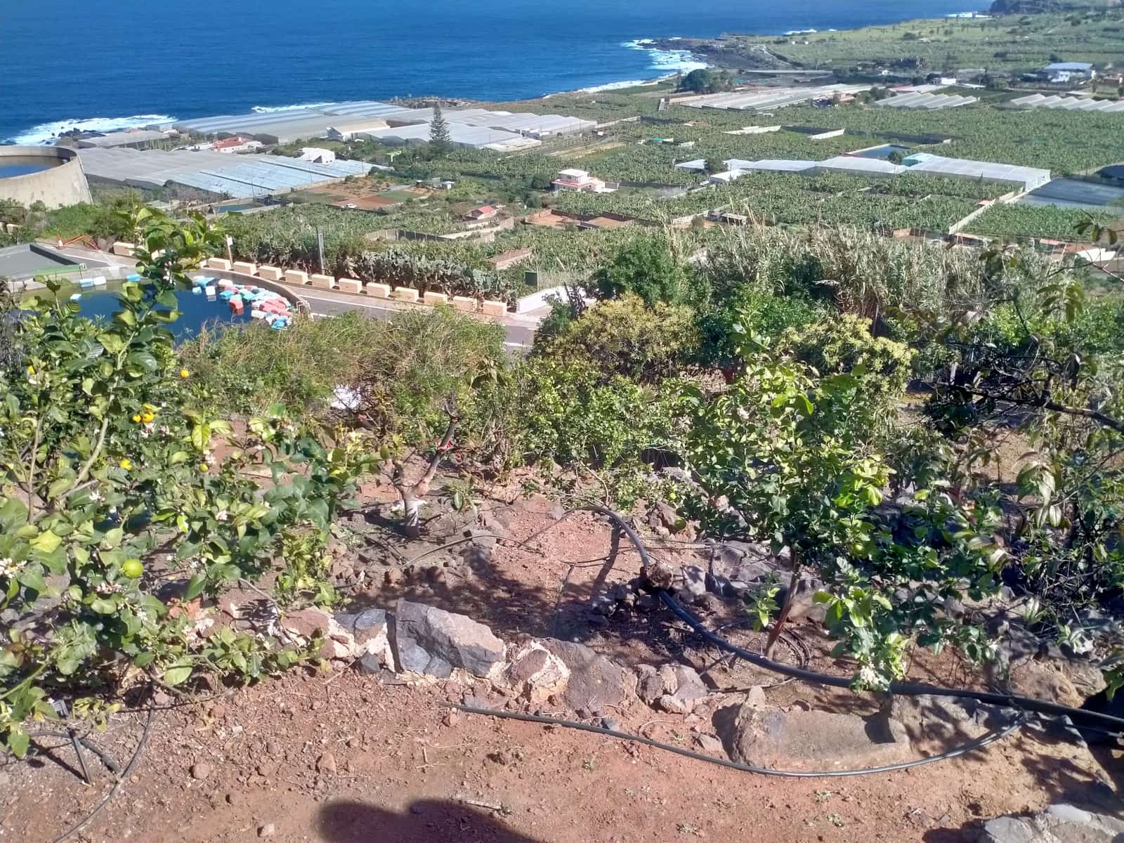 Undeveloped Land for sale in Buenavista del Norte - € 465,000 (Ref: 9914624)