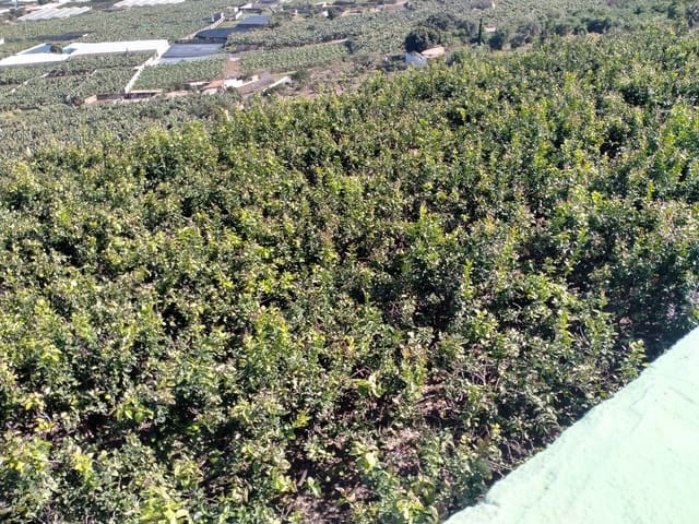 Terreno/Finca Rústica en Buenavista del Norte en venta - 465.000 € (Ref: 9914624)