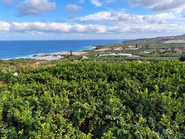 Grunde uden byggetilladelser til salg i Buenavista del Norte - € 390.000 (Ref: 9914624)