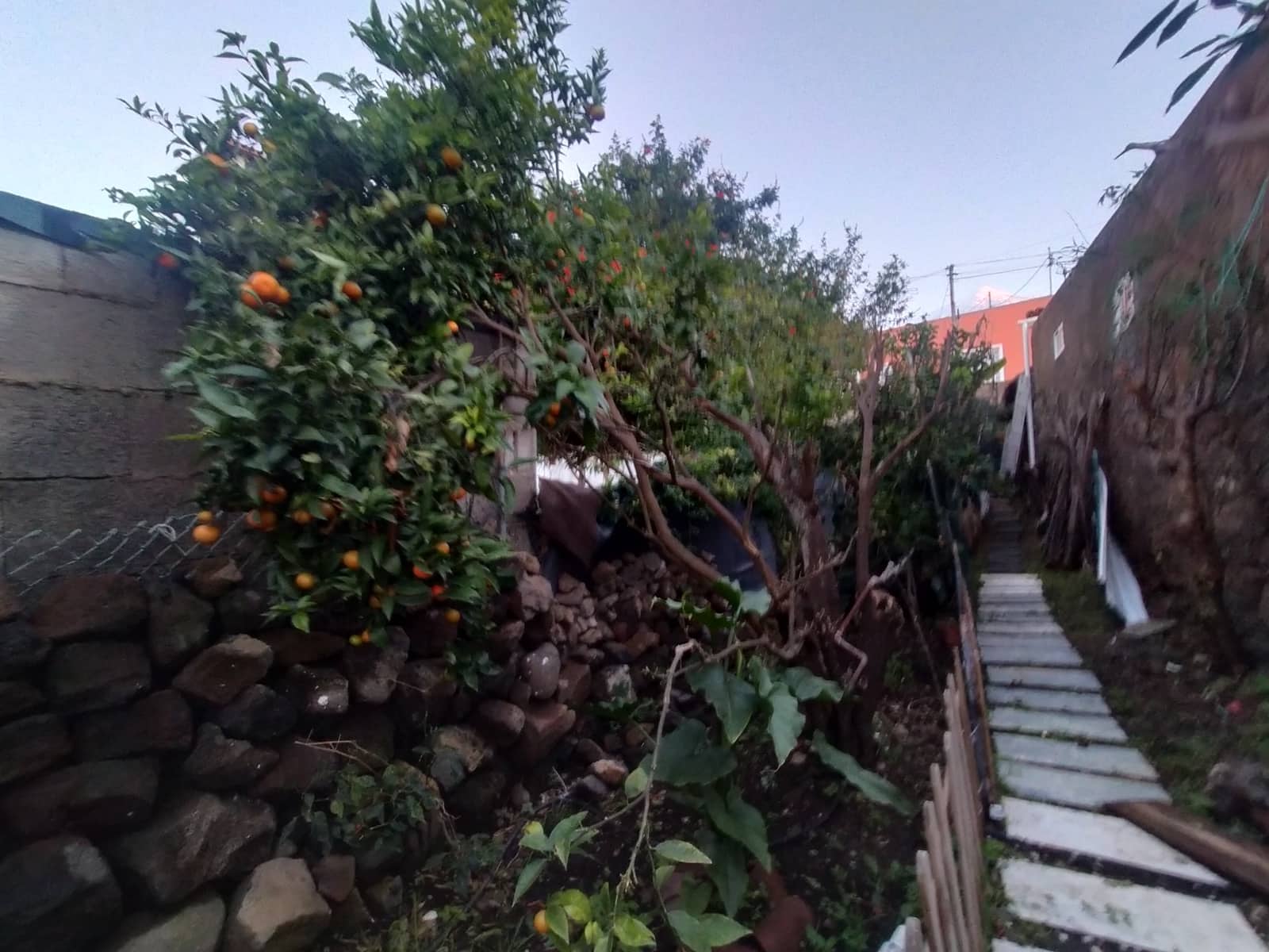 3 soveværelse Byhus til salg i Icod de los Vinos med garage - € 285.000 (Ref: 9920903)