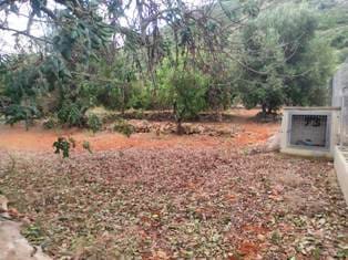 Ubebygd land til salgs i Denia - € 36 000 (Ref: 9669548)