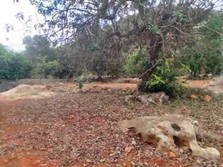 Ubebygd land til salgs i Denia - € 36 000 (Ref: 9669548)