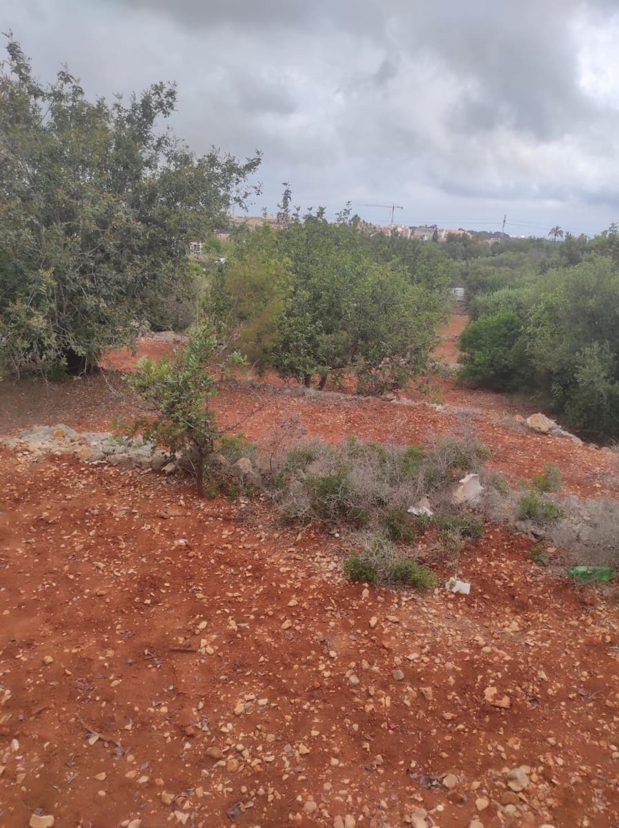 Ubebygd land til salgs i Denia - € 36 000 (Ref: 9669548)