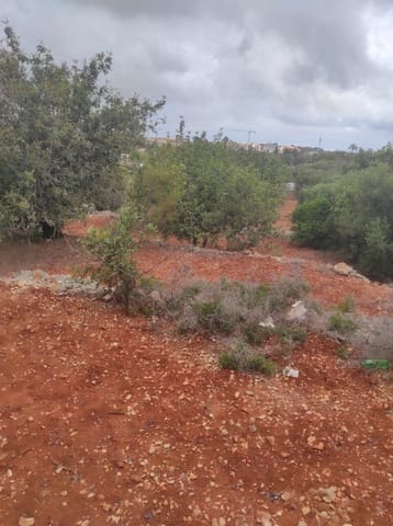 Ubebygd land til salgs i La Xara - La Sella, Dénia - € 36 000 (Ref: 9669548)