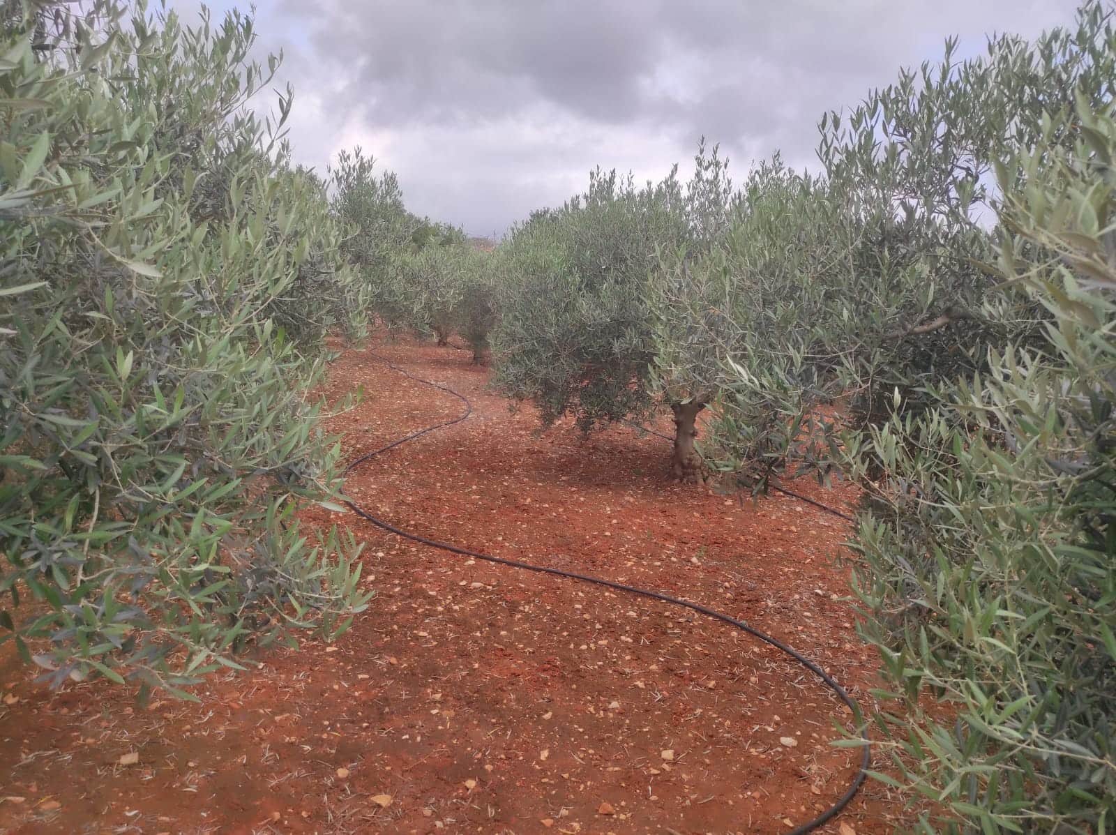 Ubebygd land til salgs i Denia - € 36 000 (Ref: 9669548)