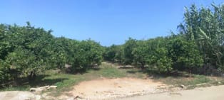 Grond te koop in Ondara - € 25.000 (Ref: 9672746)