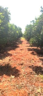 Grond te koop in Ondara - € 25.000 (Ref: 9672746)