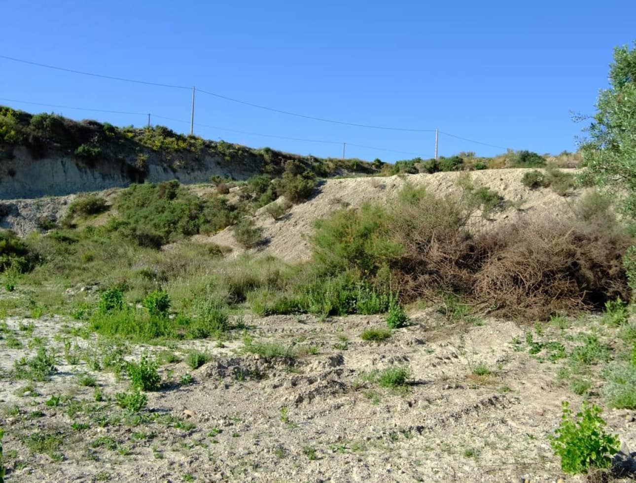 2 soveværelse Finca/Landehus til salg i Las Cunas - € 123.000 (Ref: 8511067)