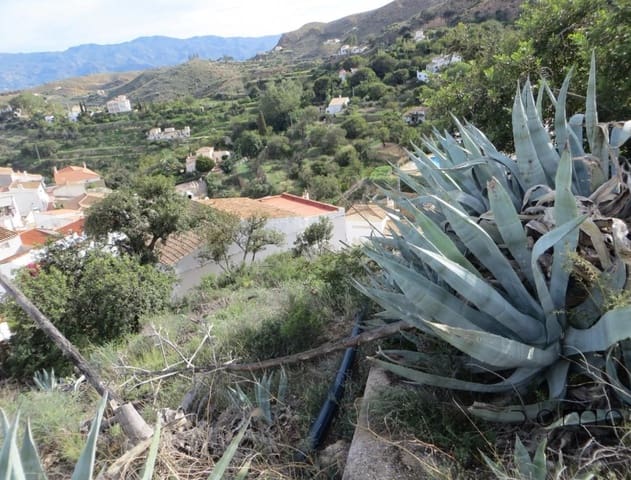 Undeveloped Land for sale in Bédar - € 80,000 (Ref: 8511088)