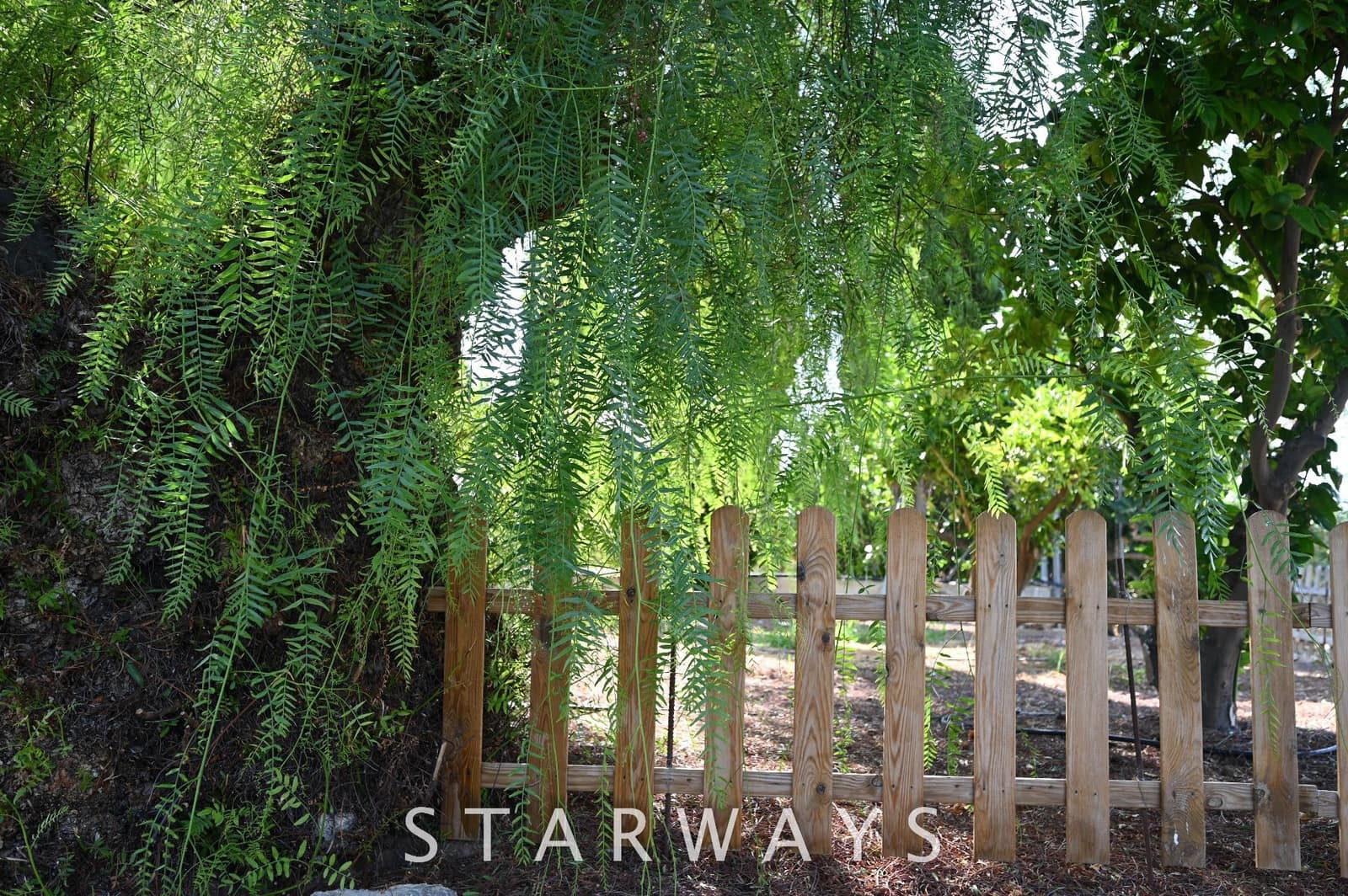 5 Zimmer Villa zu verkaufen in Alfaz del Pi / L'Alfas del Pi mit Pool Garage - 1.600.000 € (Ref: 9178036)