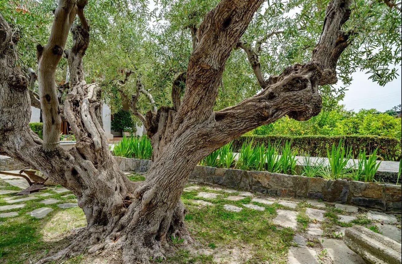 5 sypialnia Willa na sprzedaż w Altea z basenem garażem - 1 990 000 € (Ref: 9919333)
