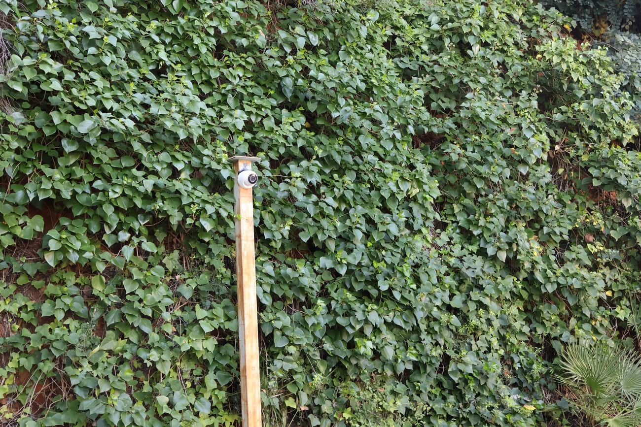 3 sypialnia Willa na sprzedaż w La Sella - 785 000 € (Ref: 9589432)