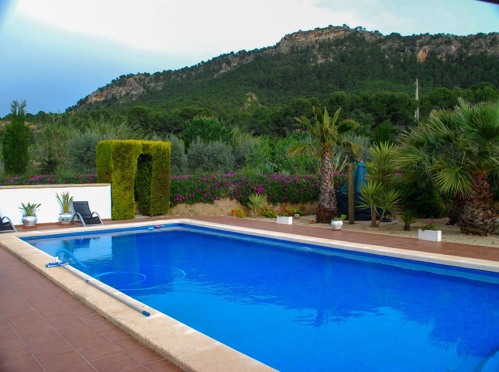 3 bedroom Villa for sale in Pliego with pool garage - € 295,000 (Ref: 9589467)
