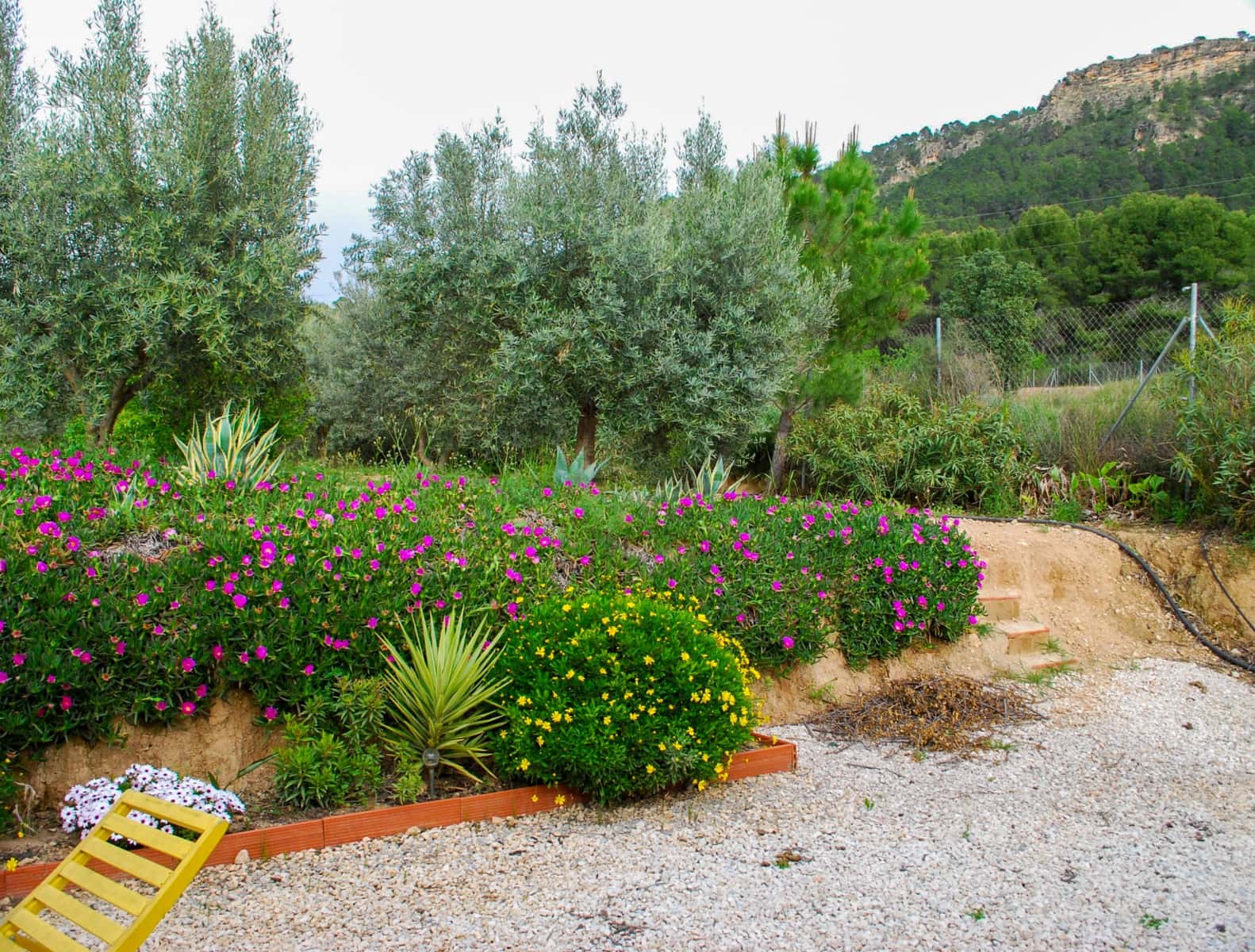 3 bedroom Villa for sale in Pliego with pool garage - € 295,000 (Ref: 9589467)