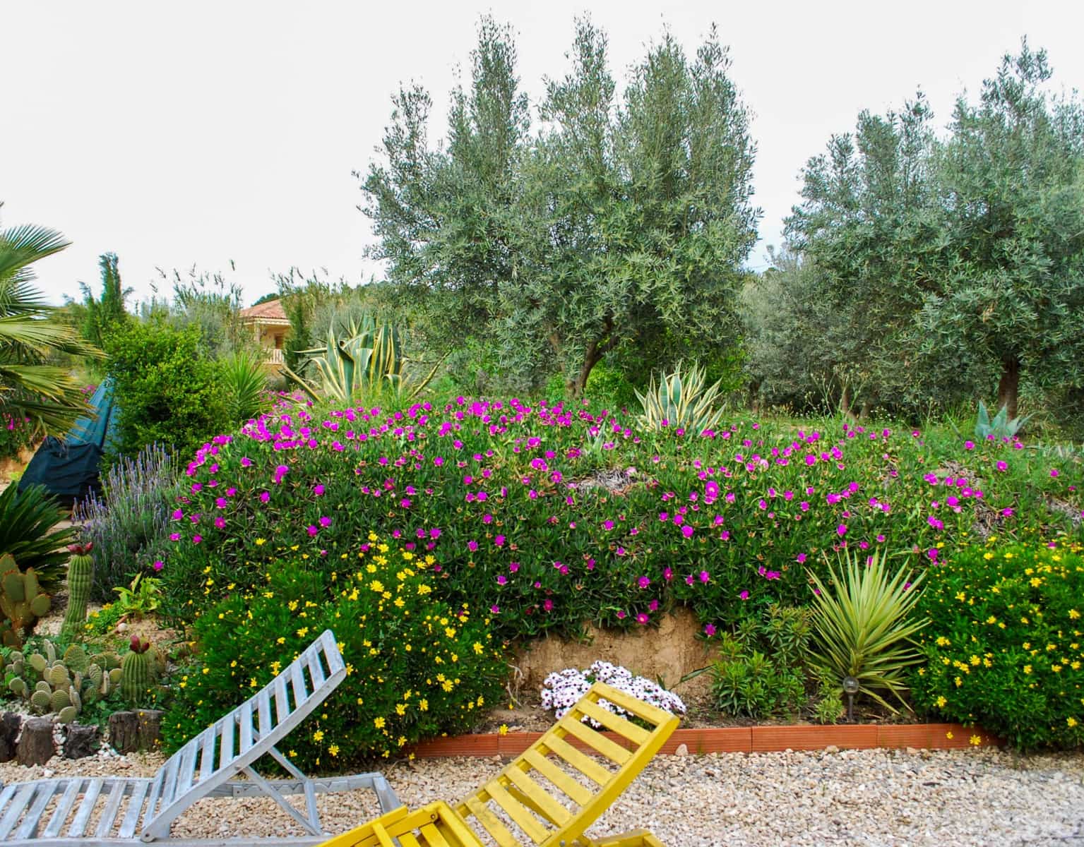 3 bedroom Villa for sale in Pliego with pool garage - € 295,000 (Ref: 9589467)