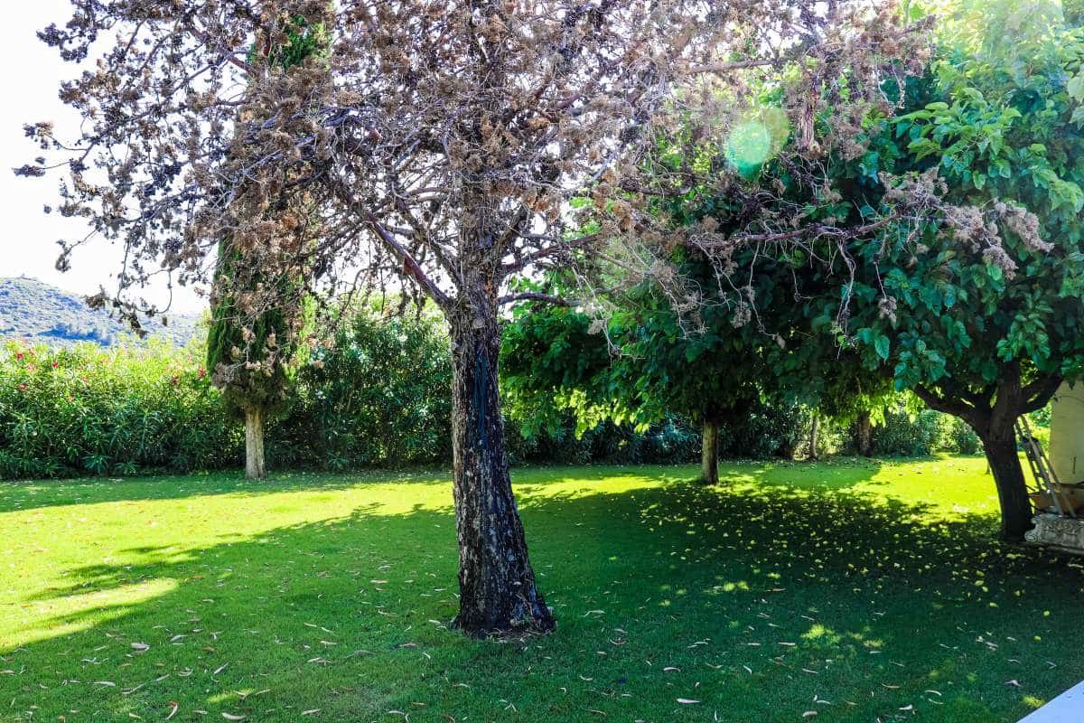 5 bedroom Villa for sale in Jesus Pobre with garage - € 1,550,000 (Ref: 9589498)