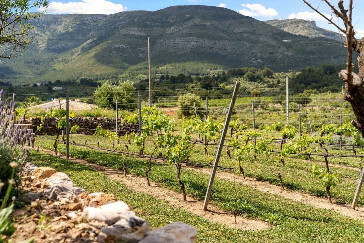 4 makuuhuone Huvila myytävänä paikassa Jalon / Xalo mukana 
autotalli - 765 000 € (Ref: 9589499)