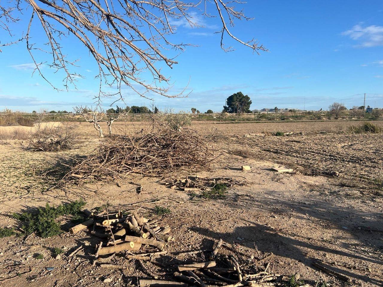 4 chambre Finca/Maison de Campagne à vendre à Daya Nueva - 165 000 € (Ref: 9589616)