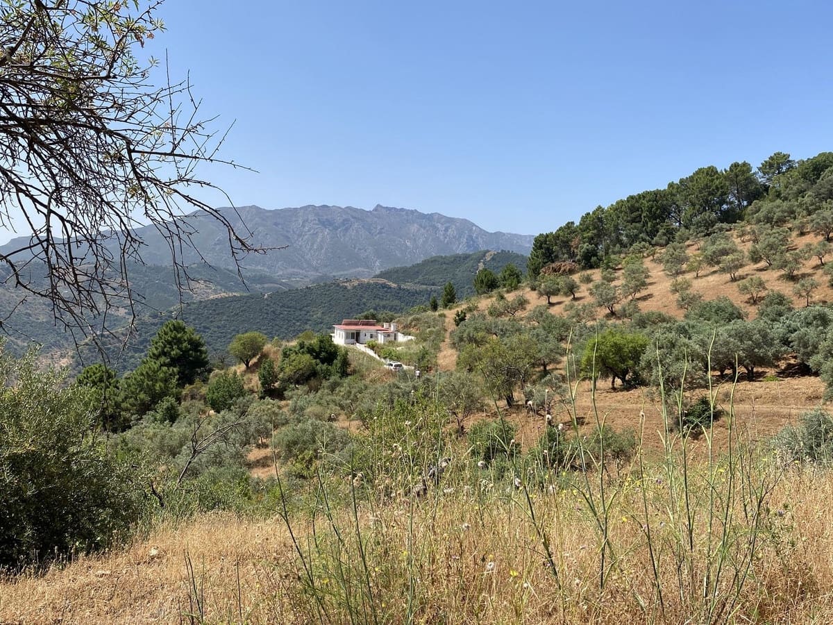 2 sovrum Finca/Hus på landet till salu i Monda - 125 000 € (Ref: 9589692)