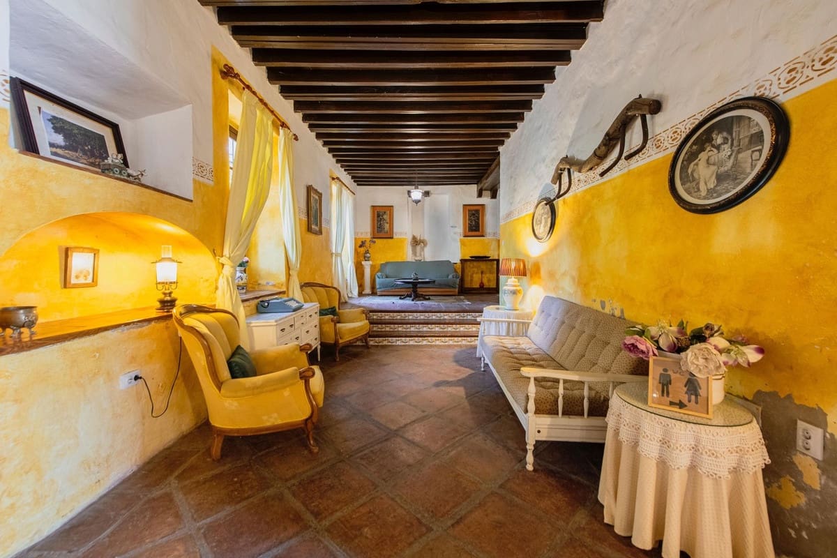 16 soveværelse Finca/Landehus til salg i Malaga by med swimmingpool - € 2.650.000 (Ref: 9589696)