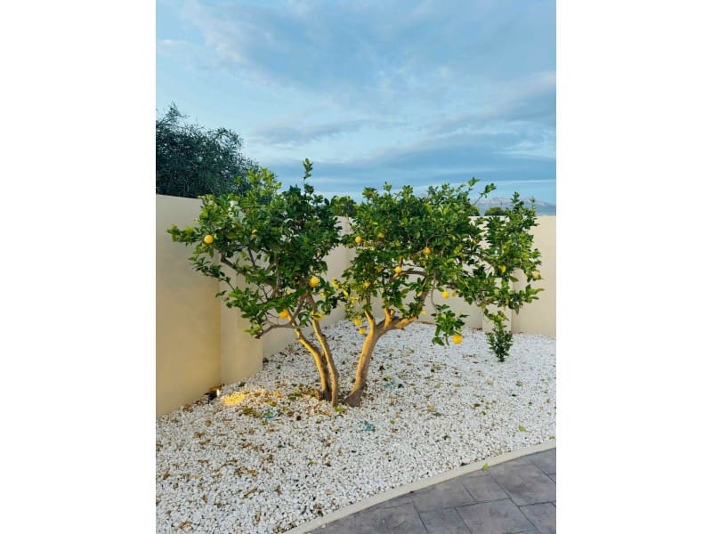 4 sypialnia Willa na sprzedaż w Alfaz del Pi / L'Alfas del Pi - 1 195 000 € (Ref: 9589861)