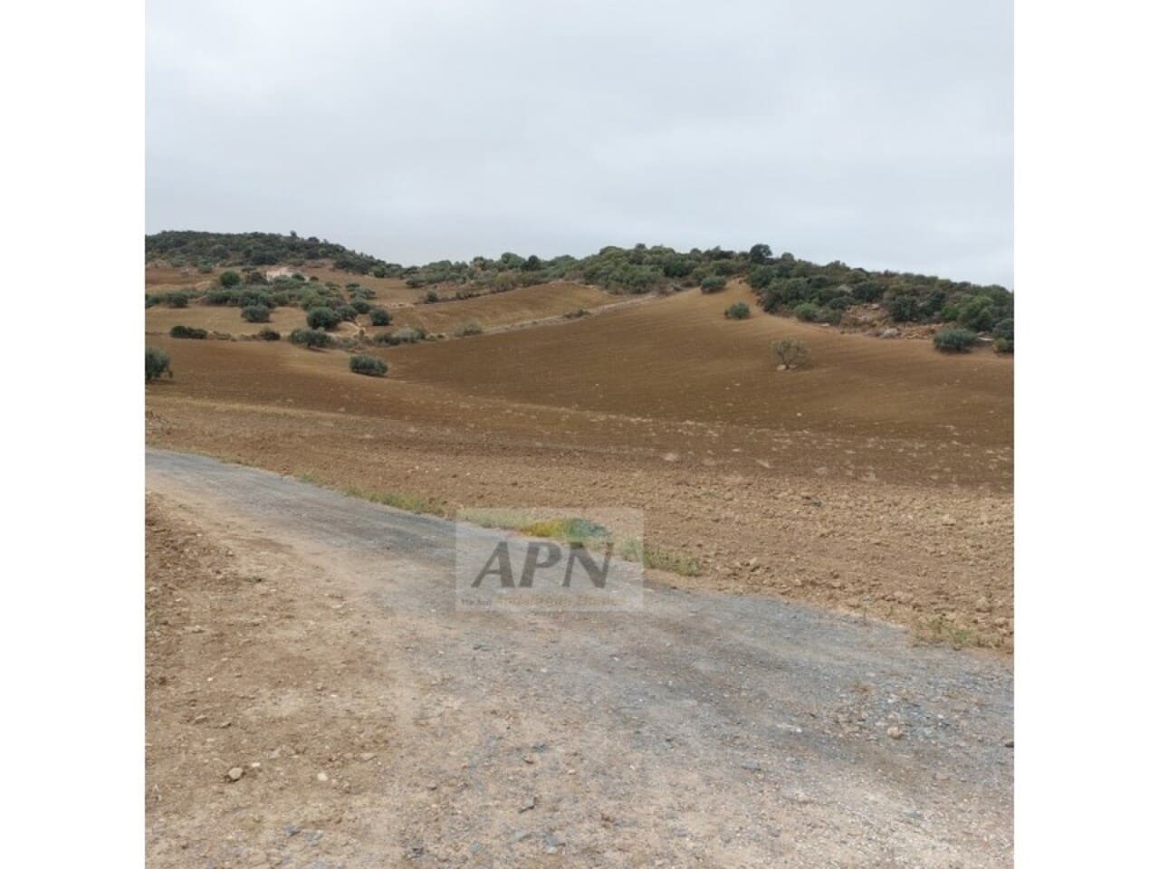 1 sovrum Finca/Hus på landet till salu i Alora - 138 000 € (Ref: 9589960)