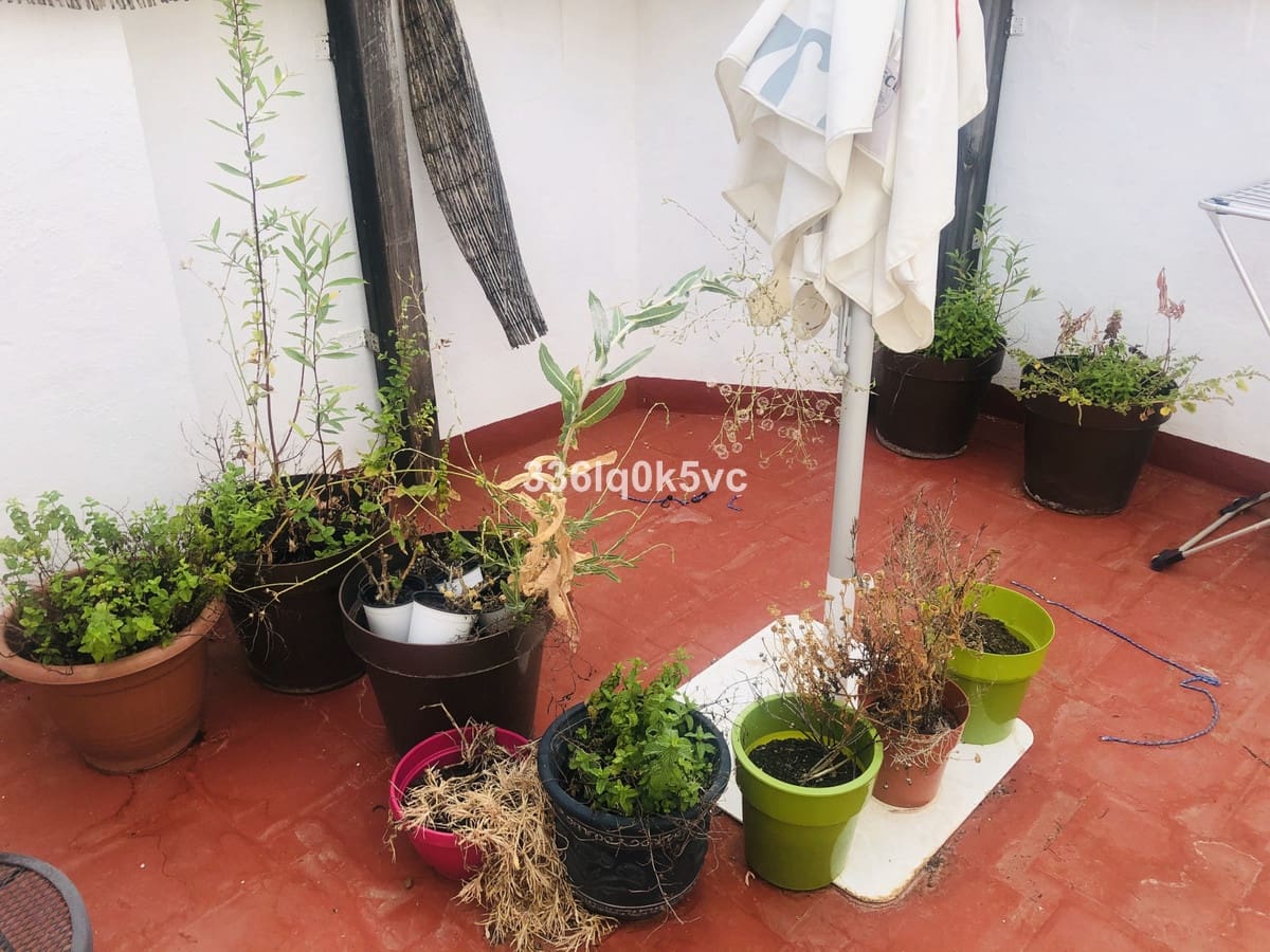 1 chambre Local Commercial à vendre à Benahavis - 460 000 € (Ref: 9590011)