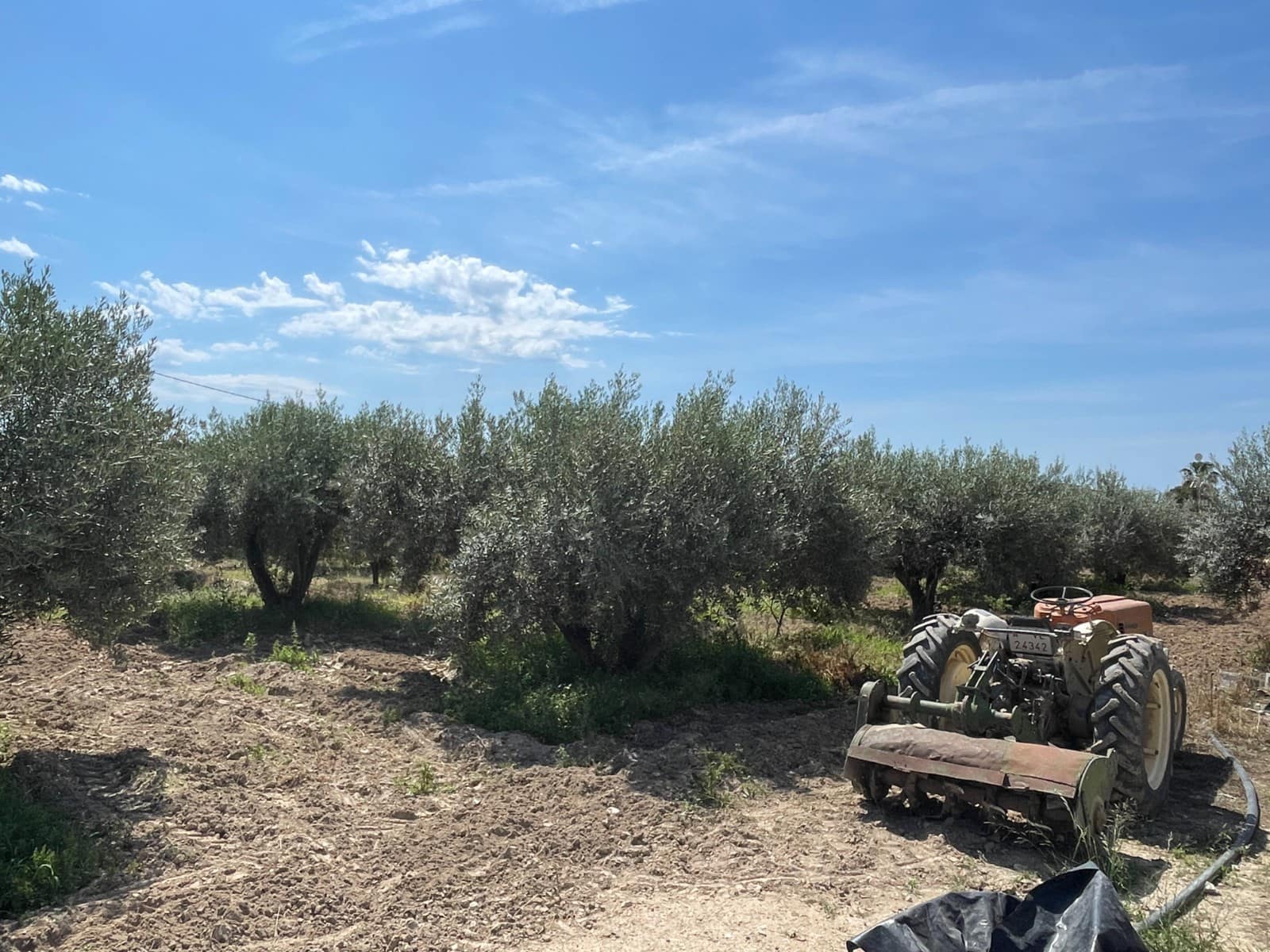 4 bedroom Villa for sale in Crevillente / Crevillent - € 265,000 (Ref: 9590024)